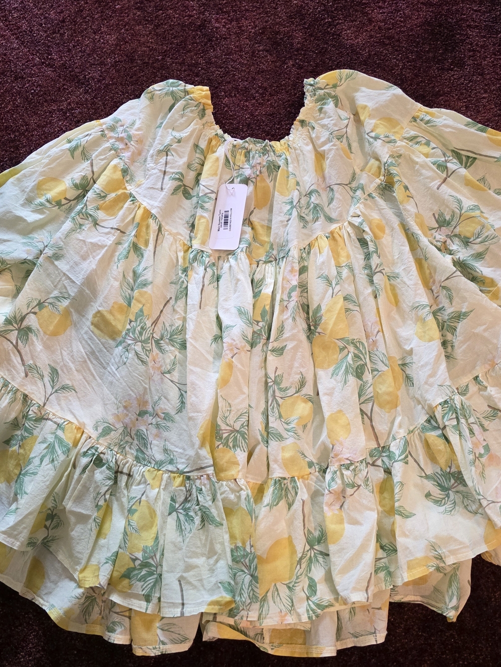 Women’s Lemon Print Ruffled Peasant Blouse - Yellow